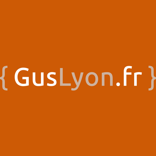 (c) Guslyon.fr